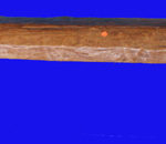 Primitive Teak Log Bench